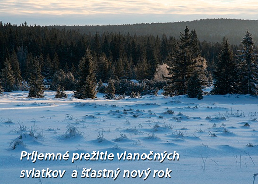 Vianočné pohľadnice